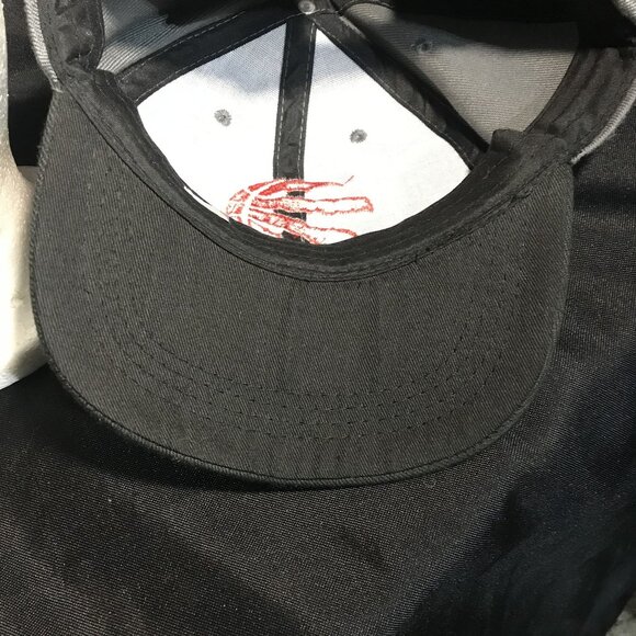 Toronto Raptors Basketball Logo Cap Hat Coors Light Adjustable Fit Gray & Black - Picture 6 of 6